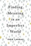 Cover of 'Finding Meaning In An Imperfect World' by Iddo Landau