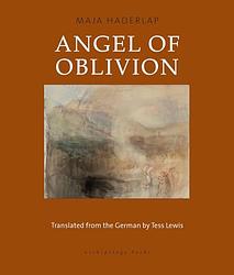 Cover of 'Angel Of Oblivion' by Maja Haderlap