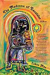 Cover of 'The Madonna Of Excelsior' by Zakes Mda