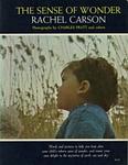 Cover of 'The Sense Of Wonder' by Rachel Carson
