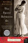 Cover of 'The Space Between Us' by Thrity Umrigar