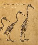 Cover of 'Unnatural Selection' by Katrina Van Grouw