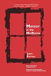Cover of 'Meteor In The Madhouse' by Leon Forrest