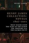 Cover of 'The Awkward Age' by Henry James