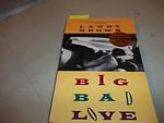 Cover of 'Big Bad Love' by Larry Brown