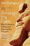 Cover of 'Amongst The Ruins' by John Darlington
