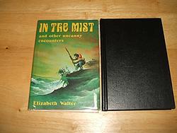 Cover of 'In The Mist, And Other Uncanny Encounters' by Elizabeth Walter