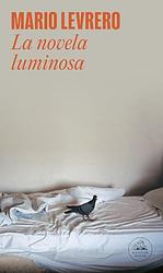 Cover of 'The Luminous Novel' by Mario Levrero