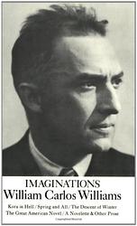 Cover of 'The Great American Novel' by William Carlos Williams