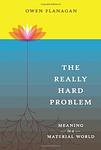 Cover of 'The Really Hard Problem' by Owen J. Flanagan
