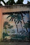 Cover of 'We, The Survivors' by Tash Aw