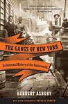 Cover of 'The Gangs Of New York' by Herbert Asbury