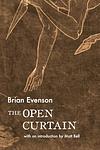 Cover of 'The Open Curtain' by Brian Evenson