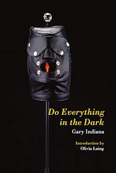 Cover of 'Do Everything in the Dark' by Gary Indiana
