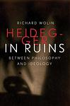 Cover of 'Heidegger In Ruins' by Richard Wolin