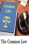 Cover of 'The Common Law' by Oliver Wendell Holmes Jr.