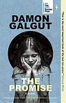 Cover of 'The Promise' by Damon Galgut