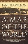 Cover of 'A Map Of The World' by Jane Hamilton