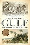 Cover of 'The Gulf: The Making of An American Sea' by Jack E. Davis