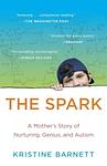 Cover of 'The Spark' by Kristine Barnett