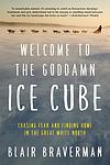 Cover of 'Welcome To The Goddamn Ice Cube' by Blair Braverman