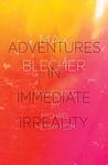 Cover of 'Adventures In Immediate Irreality' by M. Blecher