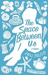 Cover of 'Space Between Us' by Zoya Pirzad