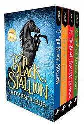 Cover of 'The Black Stallion' by Walter Farley