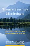 Cover of 'Trauma Sensitive Mindfulness' by David A. Treleaven