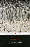 Cover of 'If Not Now, When?' by Primo Levi