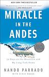 Cover of 'Miracle In The Andes' by Nando Parrado