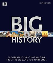 Cover of 'Big History' by Cynthia Stokes Brown