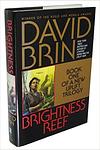 Cover of 'Brightness Reef' by David Brin