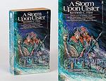 Cover of 'A Storm Upon Ulster' by Kenneth C. Flint