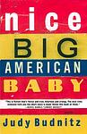 Cover of 'Nice Big American Baby' by Judy Budnitz
