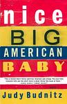 Cover of 'Nice Big American Baby' by Judy Budnitz